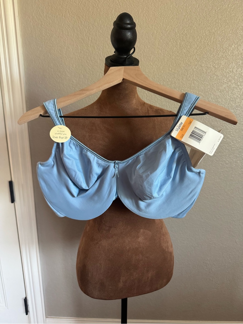 Lilyette Minimizer Underwire Bra 38DD Light Blue NWT